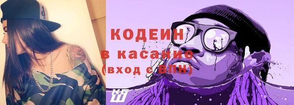 шишки Баксан