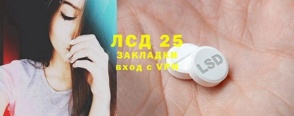 шишки Баксан