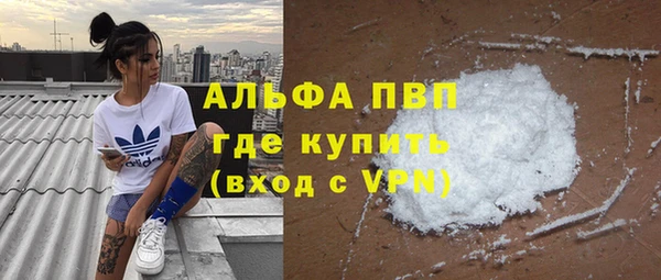 шишки Баксан