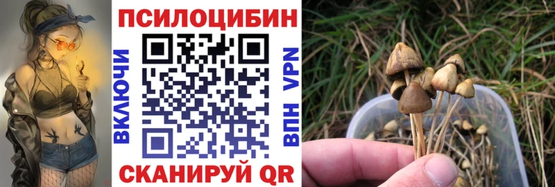 Псилоцибиновые грибы Psilocybine cubensis  Купить где  Старая Купавна 
